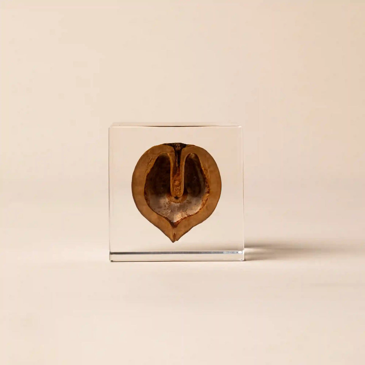 Sola Cube Main image