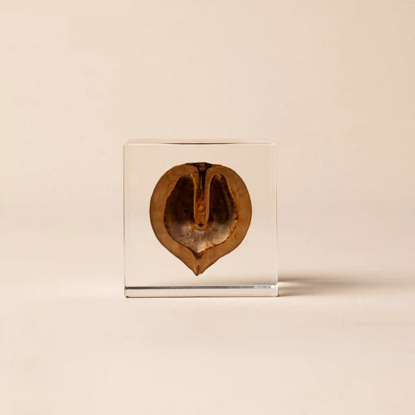 Sola Cube