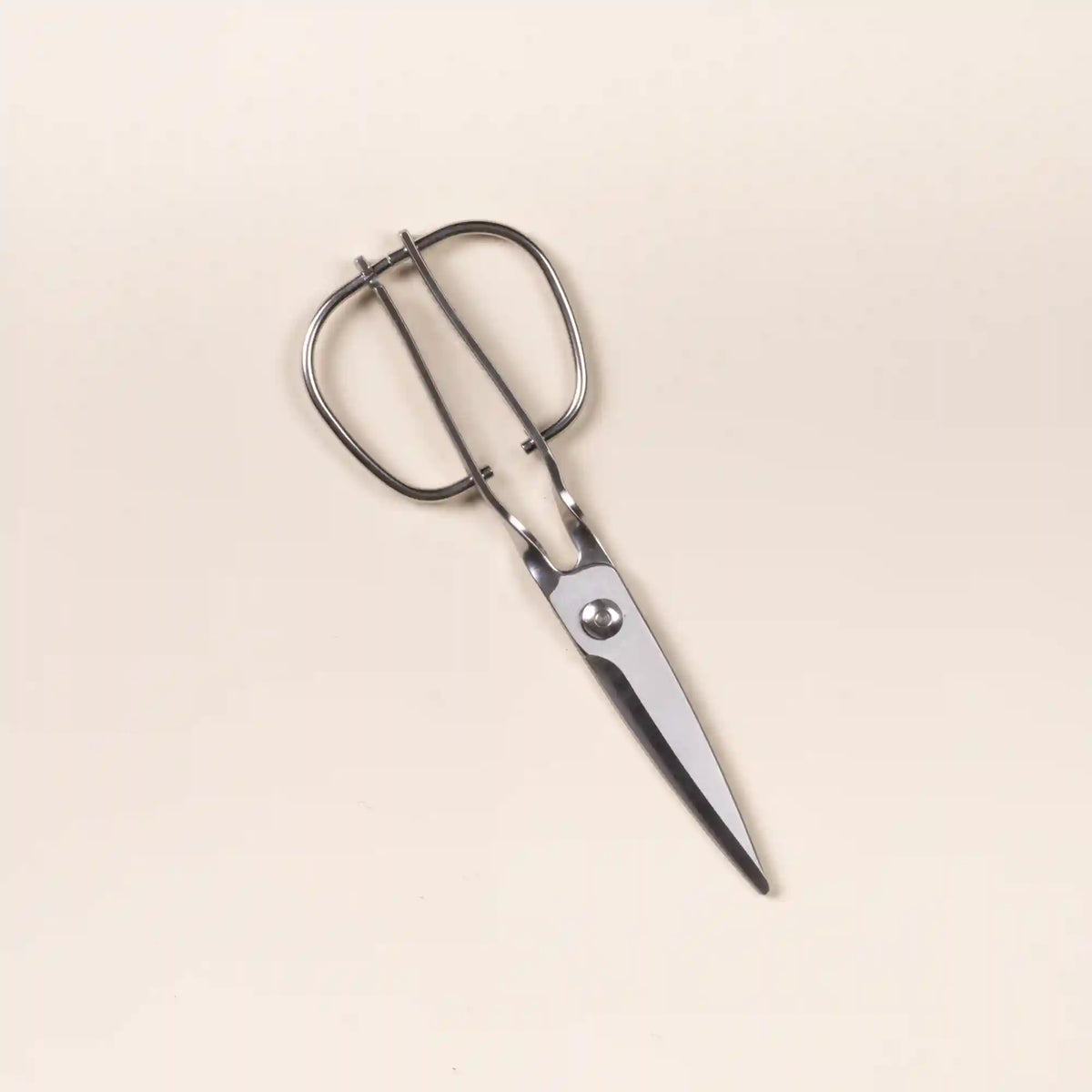 Japanese Kitchen Scissors Main image