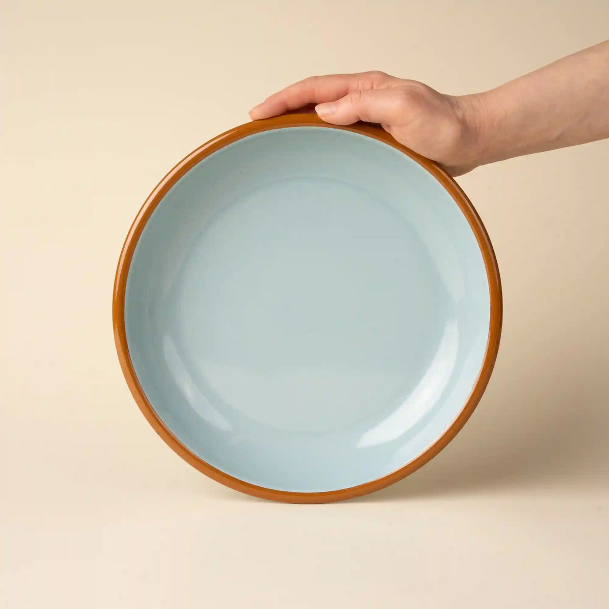 Solid Enamel Dinner Plate Main image