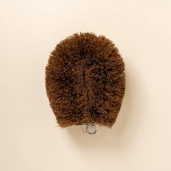 Coconut Bristle Scrubber