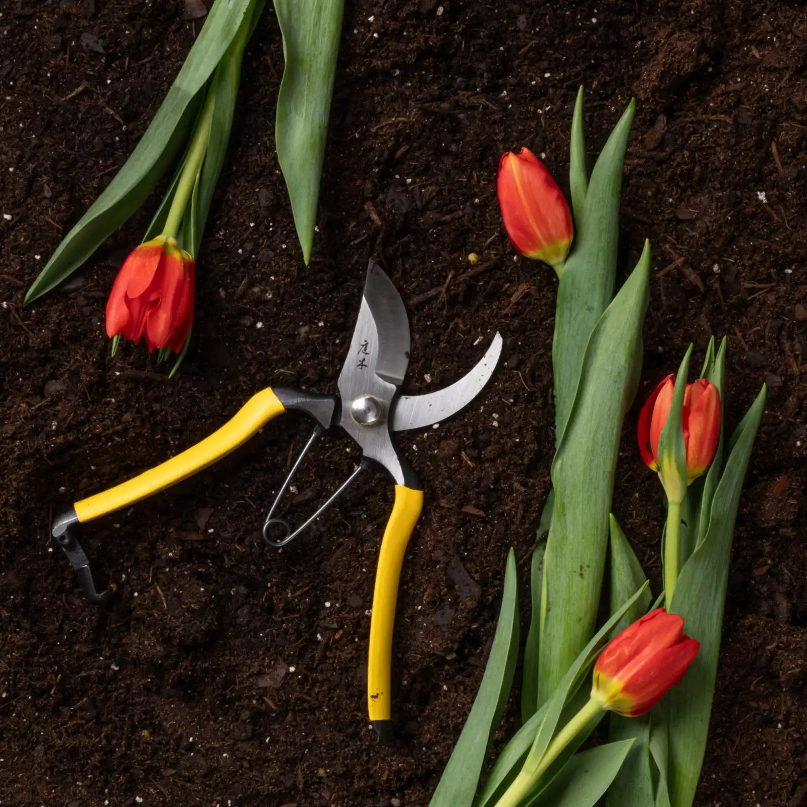 Higurashi Secateurs Secondary image