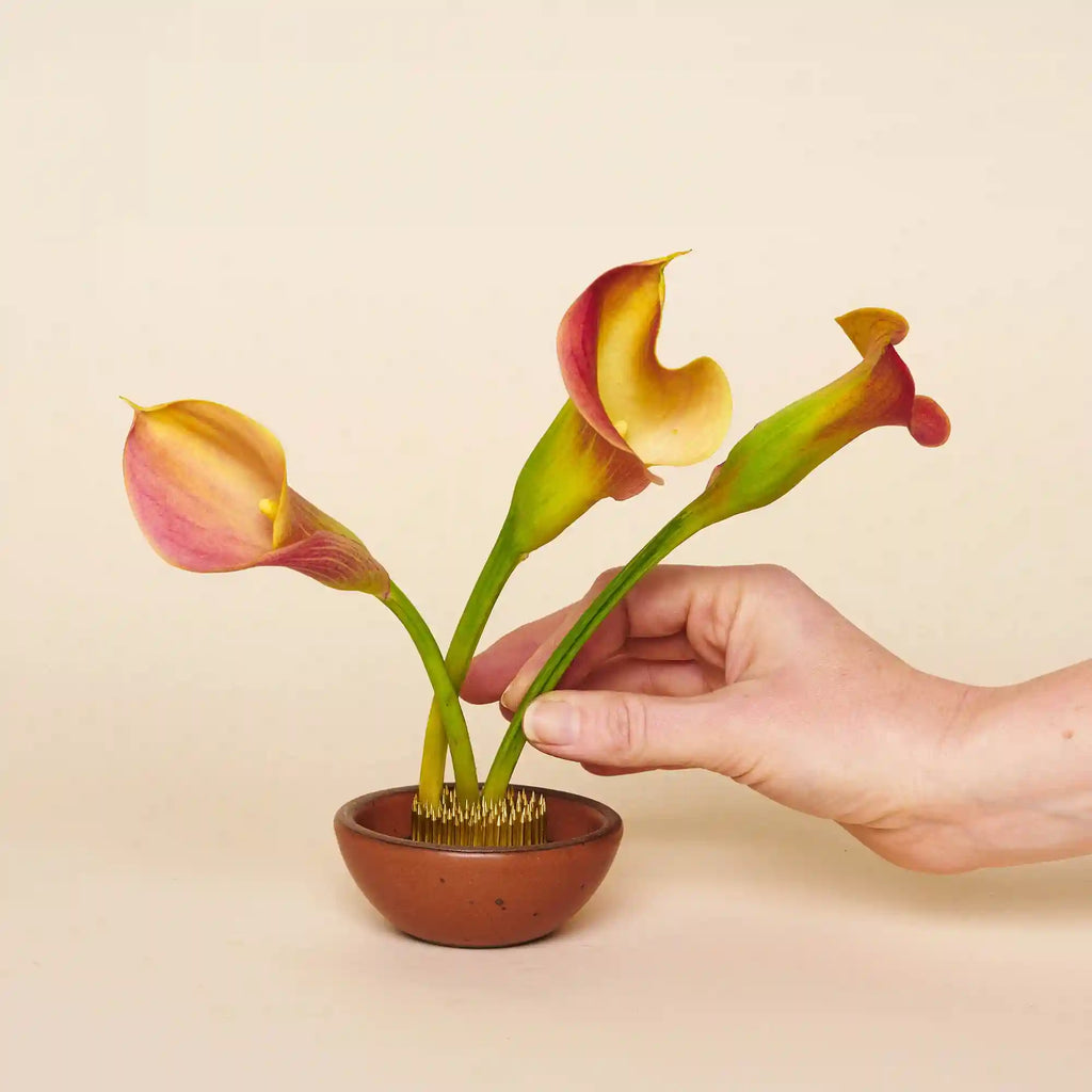 Flower Frogs