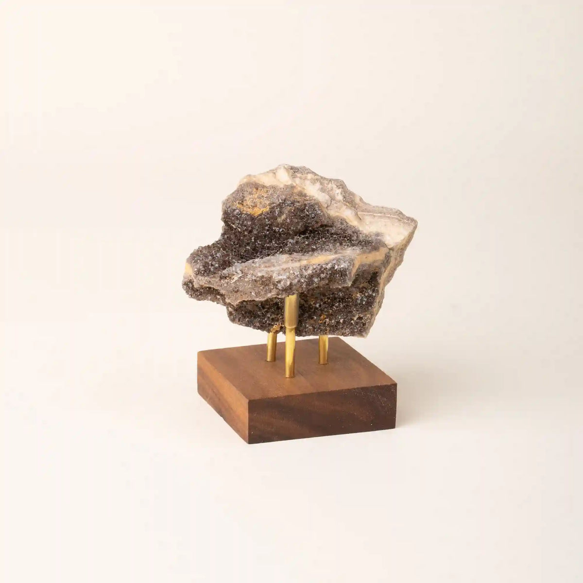 Brilliant Petrified Wood Main image