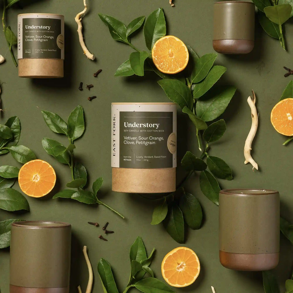 The Candle in Understory Main image