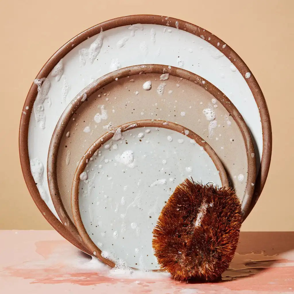 Coconut Bristle Scrubber Main image