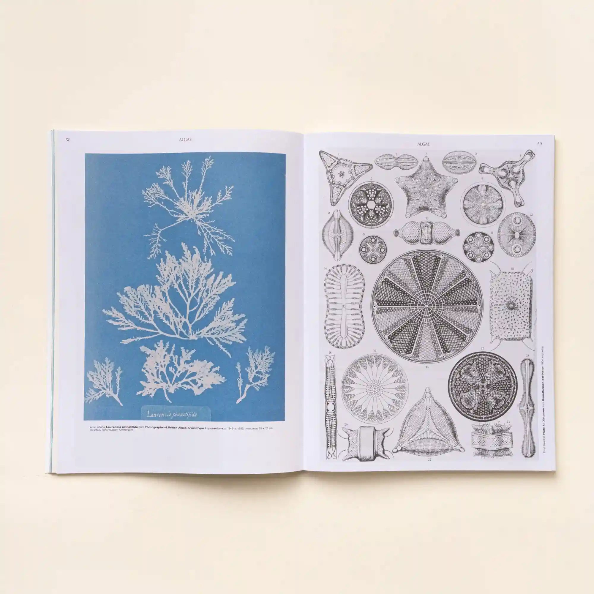 On the Necessity of Gardening Secondary image