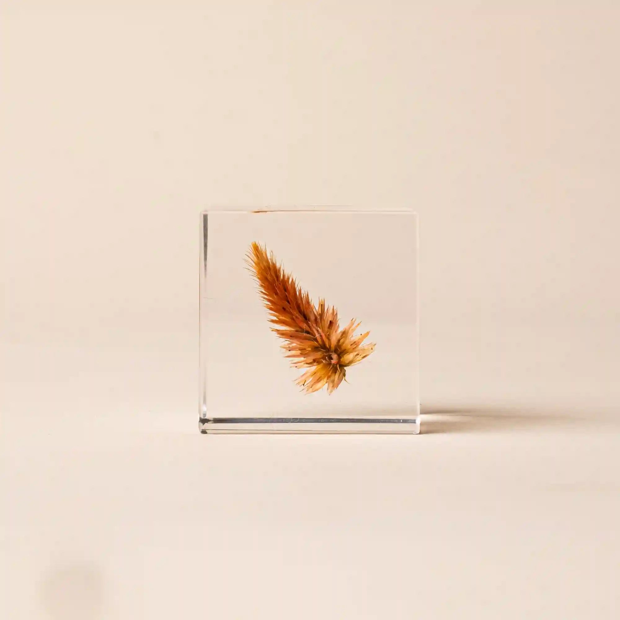 Sola Cube Secondary image