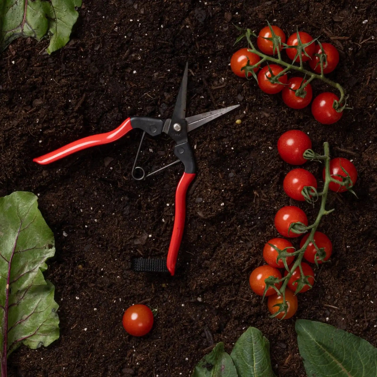 Little Garden Snips Secondary image