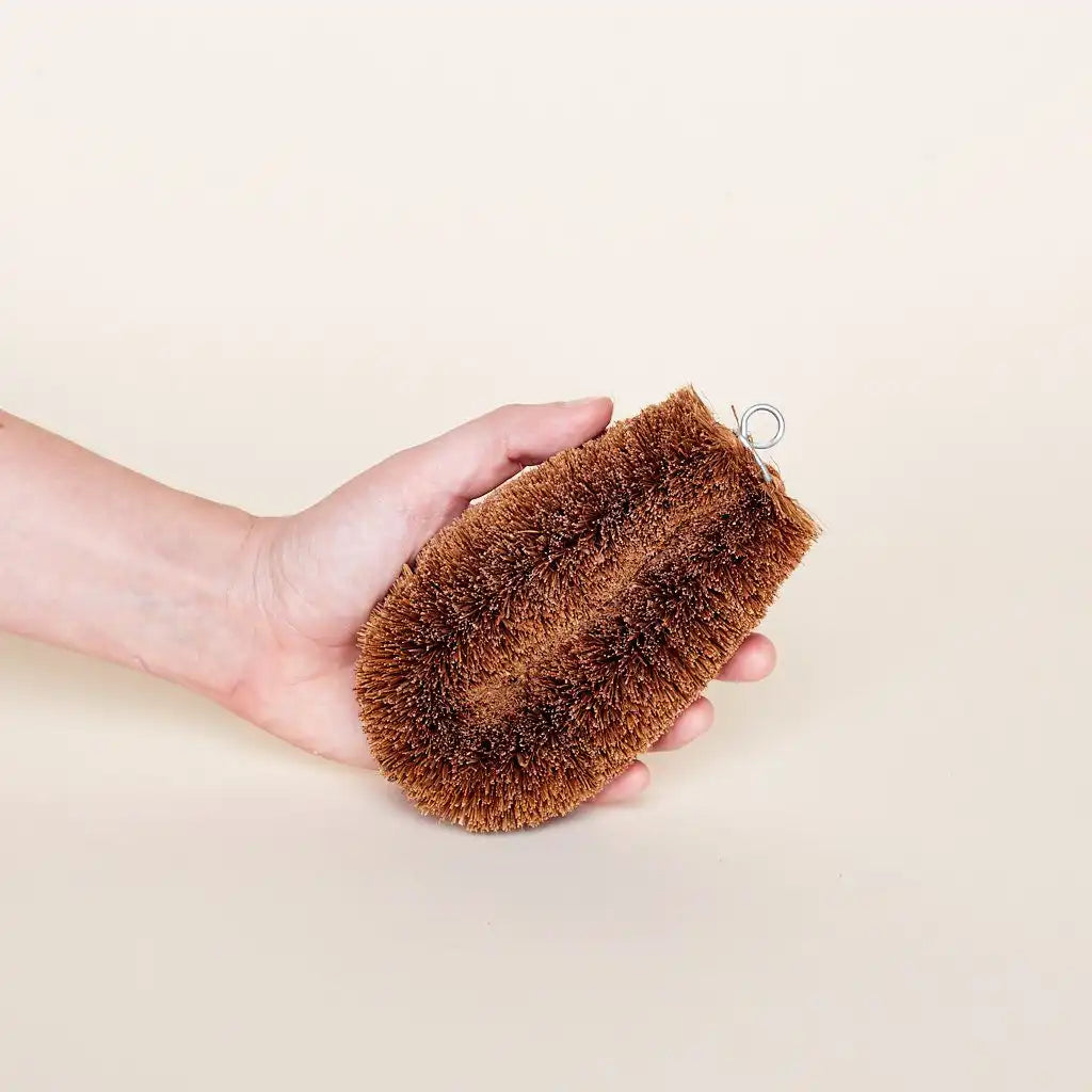 Coconut Bristle Scrubber Secondary image